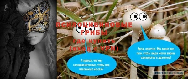 шишки Вязьма