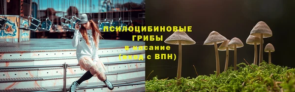шишки Вязьма