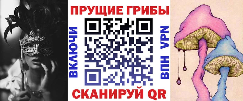 Галлюциногенные грибы Psilocybe Меленки