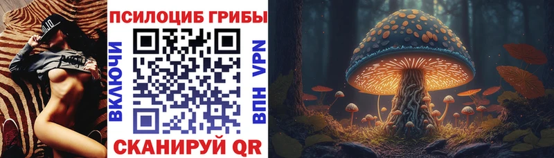 Псилоцибиновые грибы мицелий где можно купить наркотик Меленки